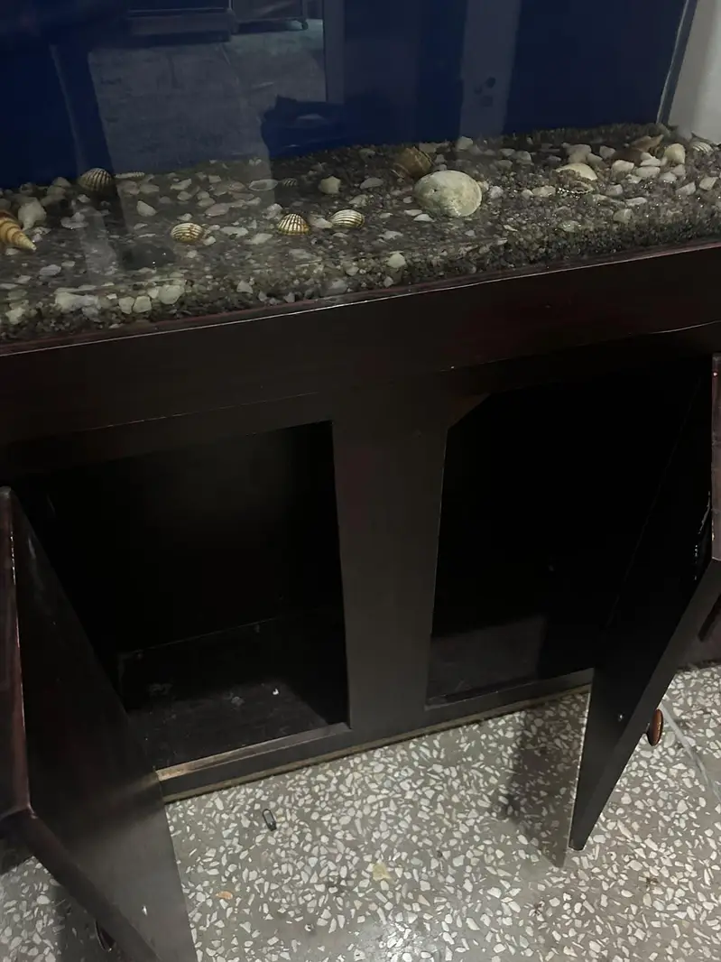  Beautiful Aquarium for Sale – Ready to Setup — photo 8