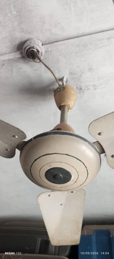 ceiling fan Pak fan and Royal fan