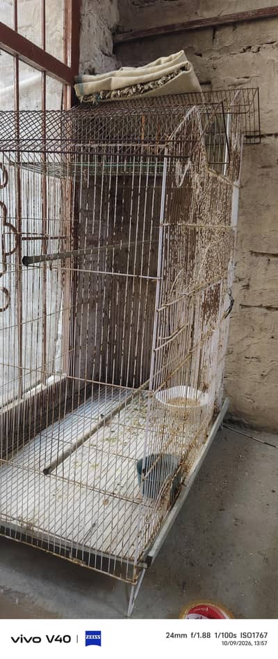 cage 6000