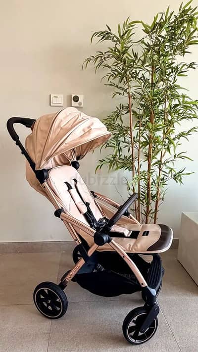 Leclerc baby influencer stroller