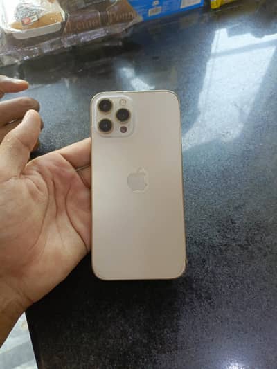 Apple iPhone 12 Pro Max