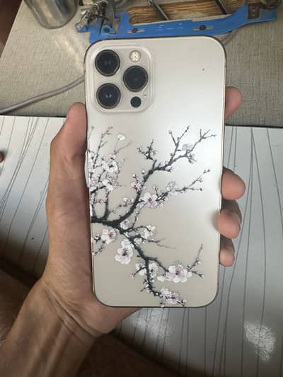 Apple iPhone 12 Pro Max | PTA Approved | Genuine & Excellent Condition