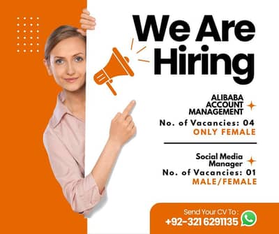 Alibaba Account Expert