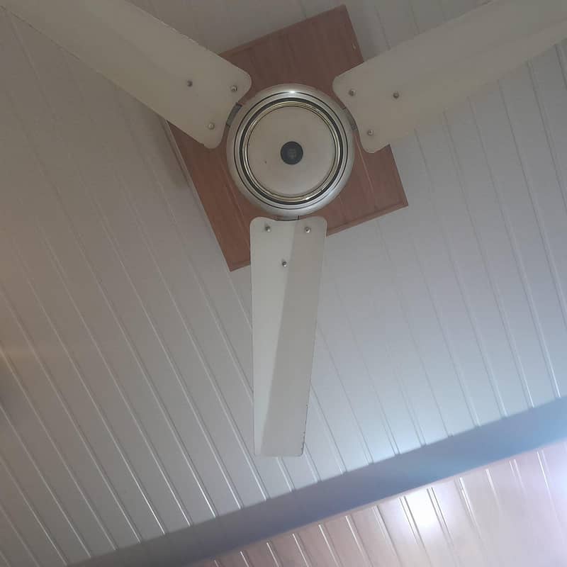 2 Fans 1