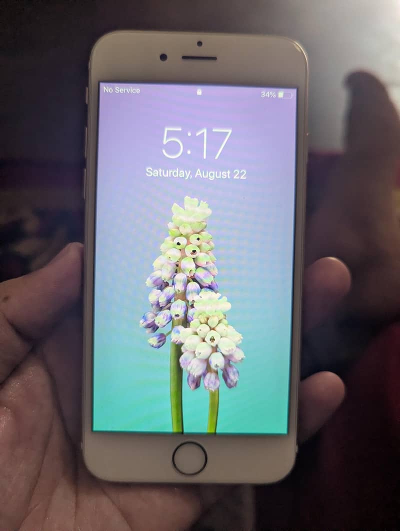 Apple iPhone 6 0