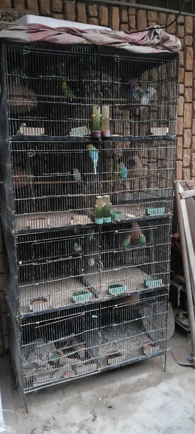 only cage for sale