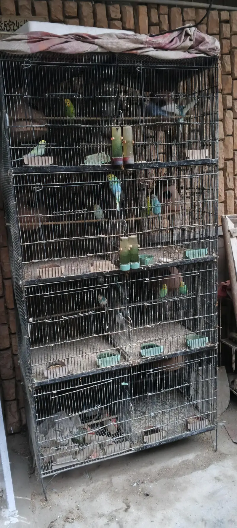 only cage for sale — photo 2