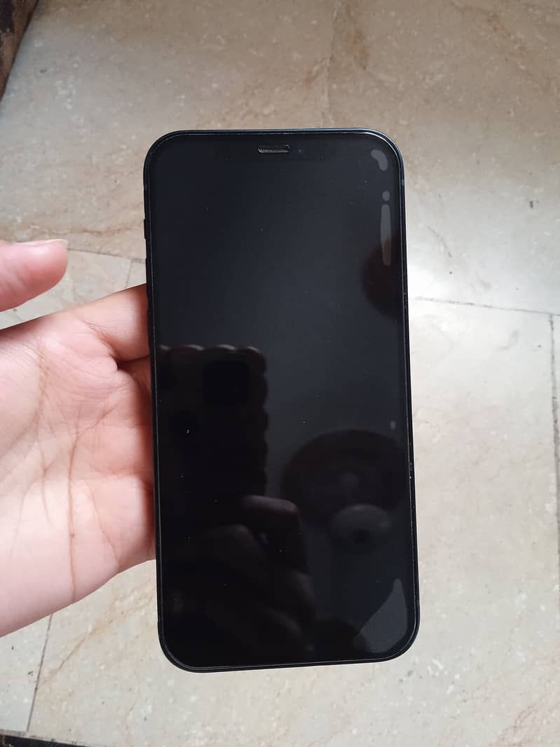 Apple iPhone 12 1