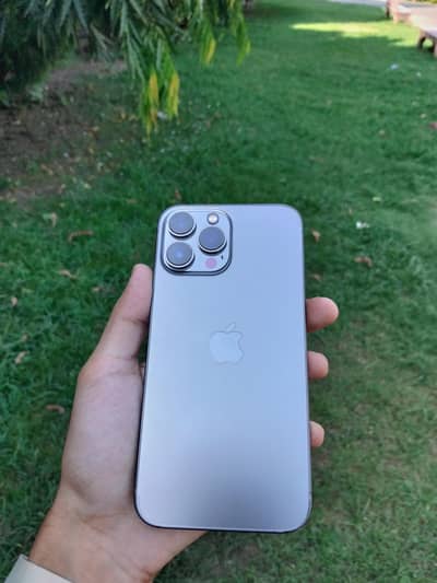 Apple iPhone 13 Pro Max