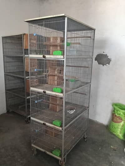 Parrots Cages