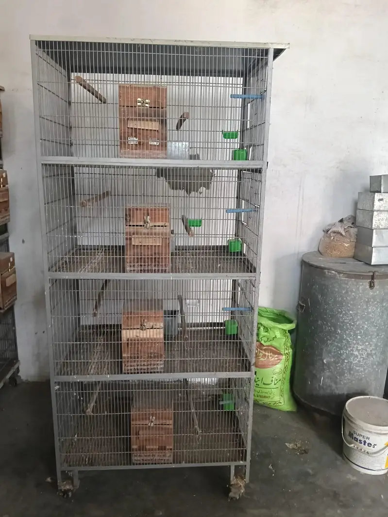 Parrots Cages — photo 2