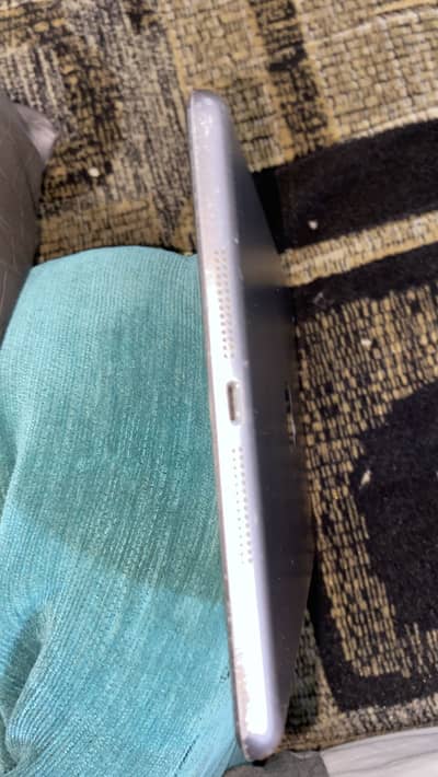 iPad mini 2