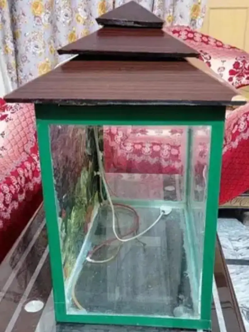 fishing aquarium — photo 3