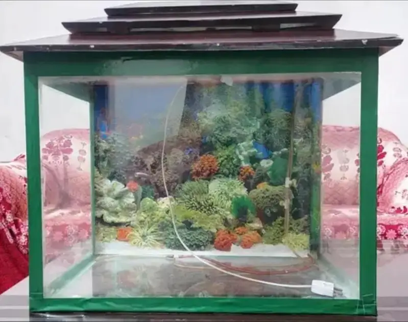 fishing aquarium — photo 4