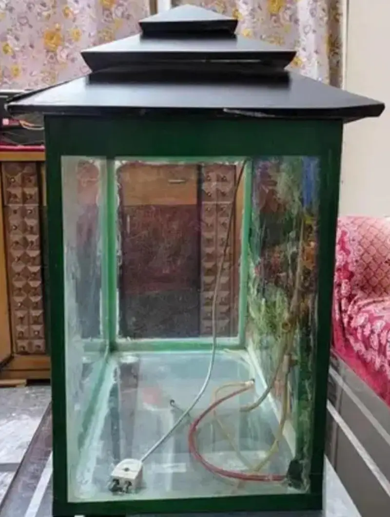 fishing aquarium — photo 5