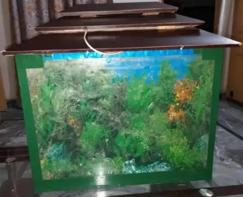 fishing aquarium — photo 6