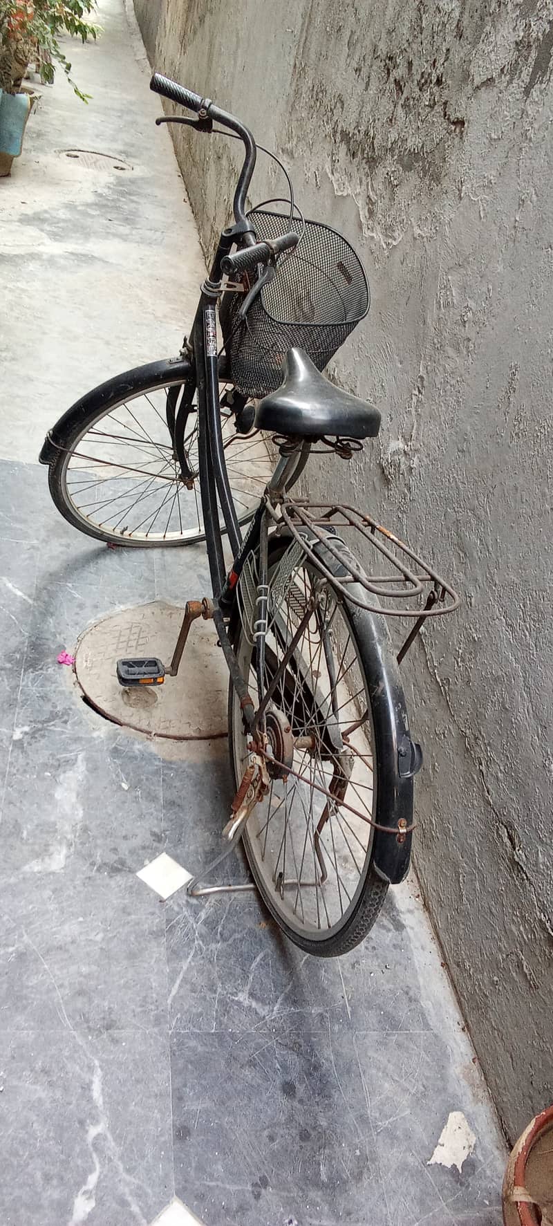 Cycle 3