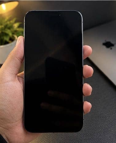 Apple iPhone 13 Pro Max 1
