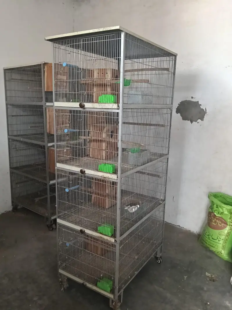 Perrots Cage — photo 3