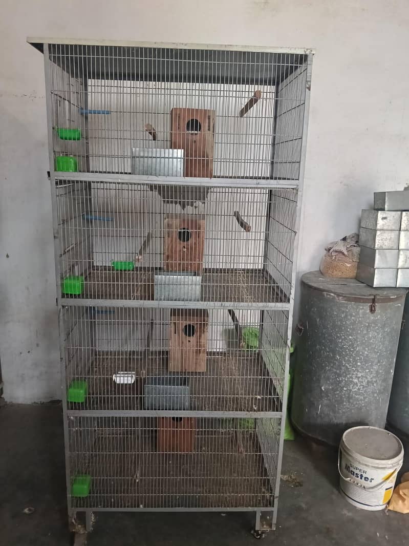 Perrots Cage 3