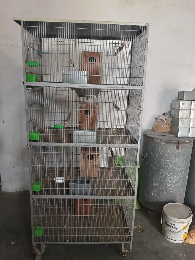 Perrots Cage — photo 4