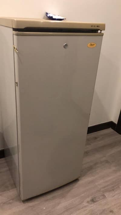 Single door freezer