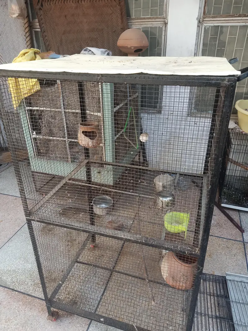 Two portions cage for parrots