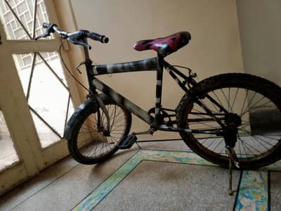 Great cycle