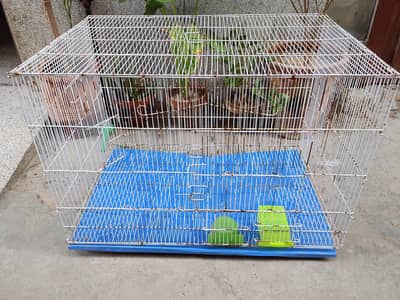 Cage | Parrot Cage | Aseel Cage | Hen Cage |