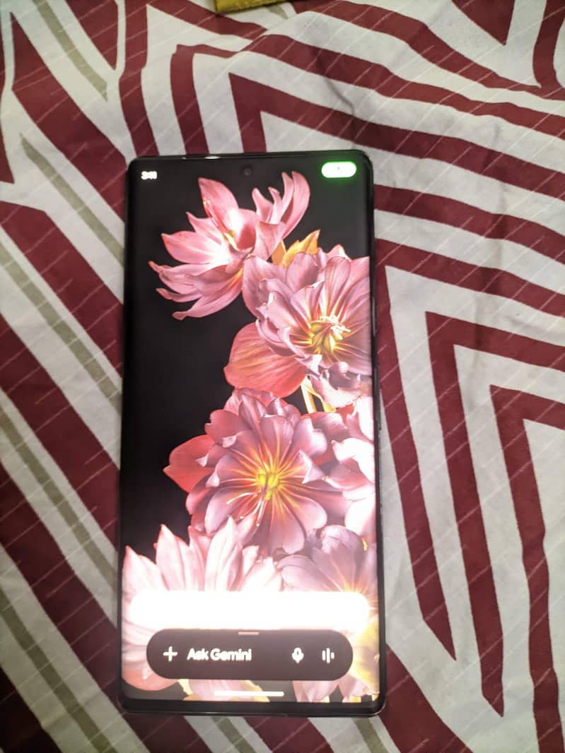 Google Pixel 6 Pro 1