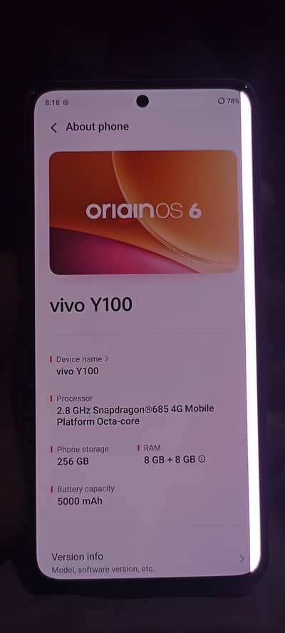 Vivo Y100 Only Penal