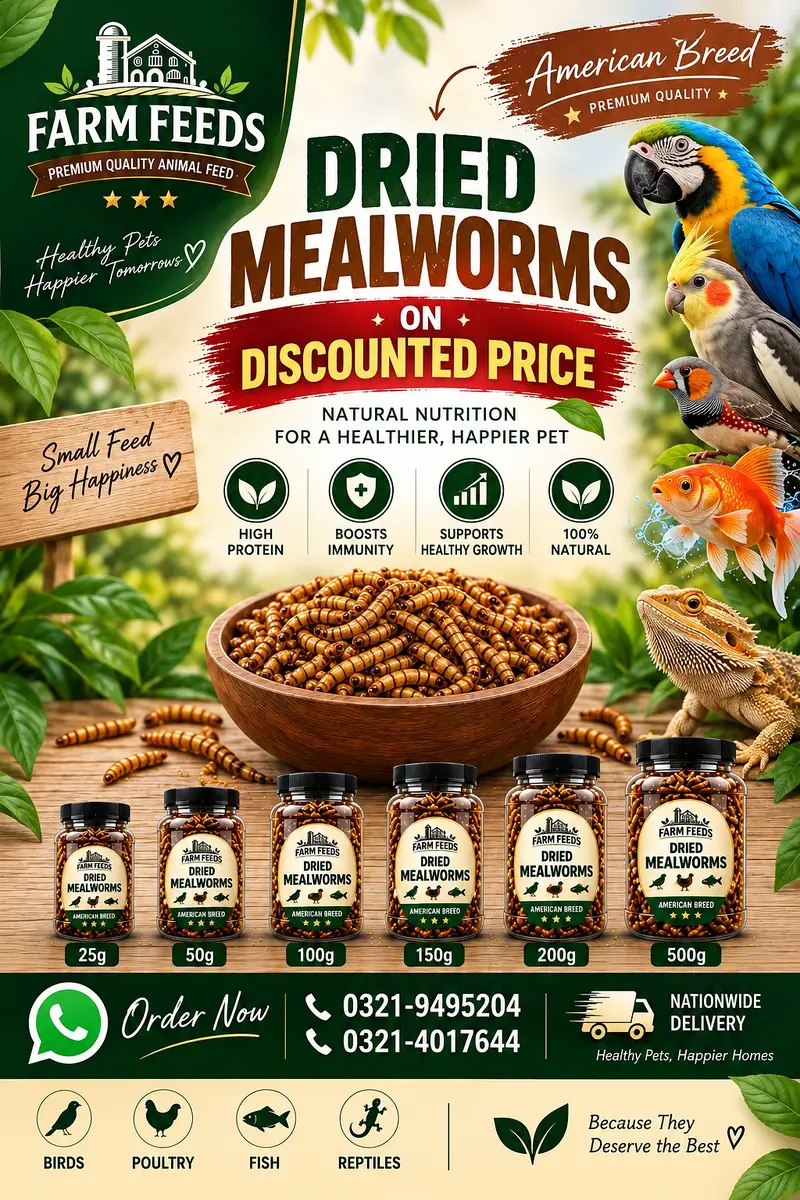 Premium Pet Food | High-Quality Pet Supplies | Healthy Farm Feeds