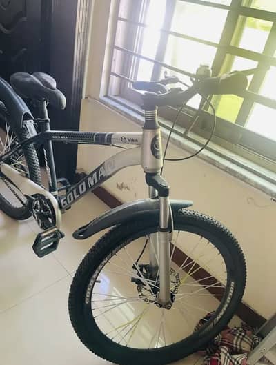 Adults bicycle