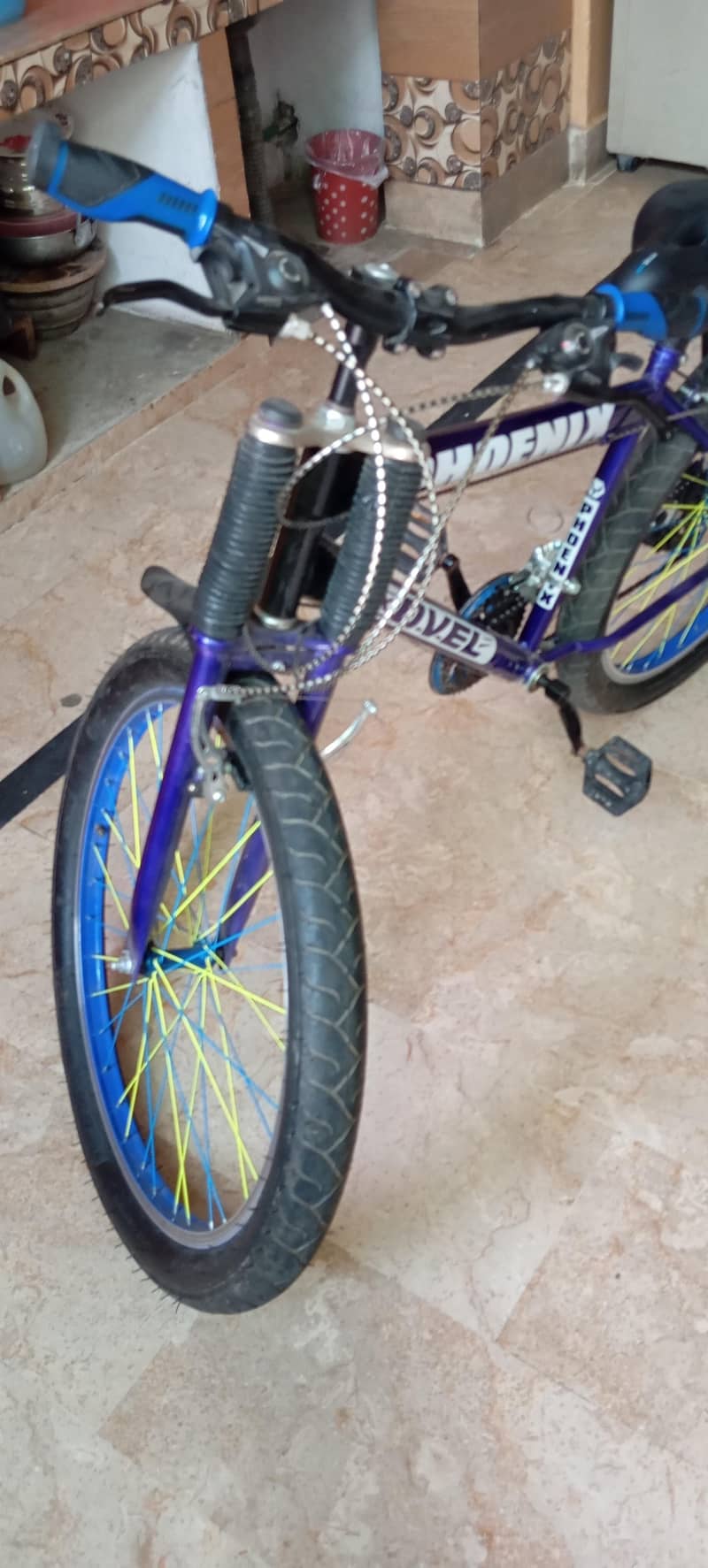 phoneix bycycle 3