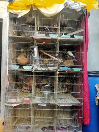 12 Portion Iron Cage For Sale