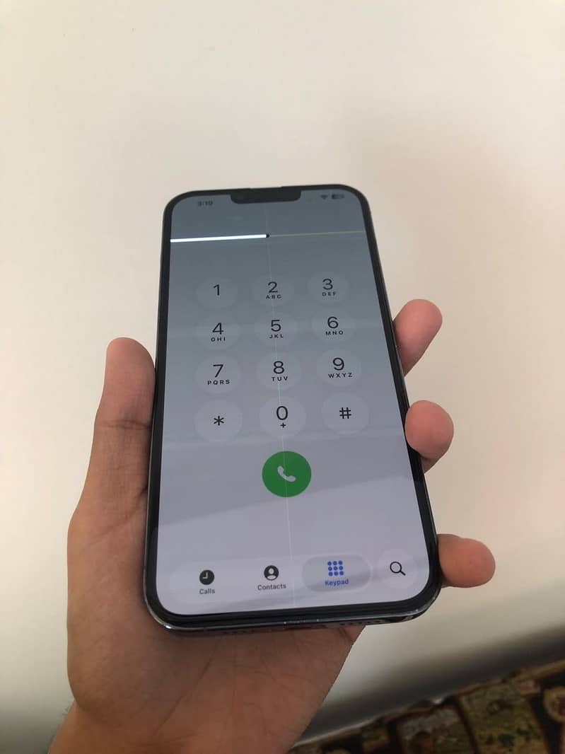 Apple iPhone 13 Pro Max 12