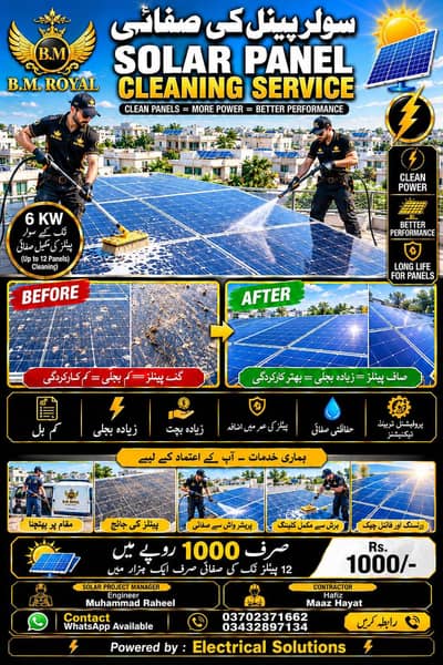 professional solar panels cleaning service