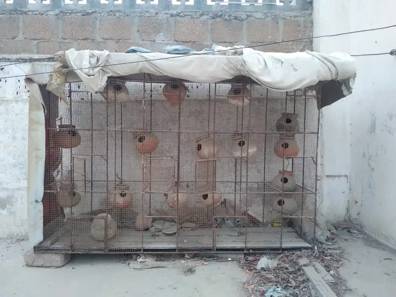 Big cage for birds/ parrots — photo 2