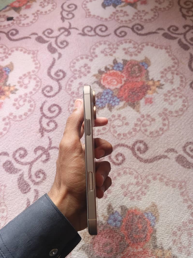 Apple iPhone 16 Pro Max 2