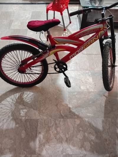 Beautiful cycle for kids