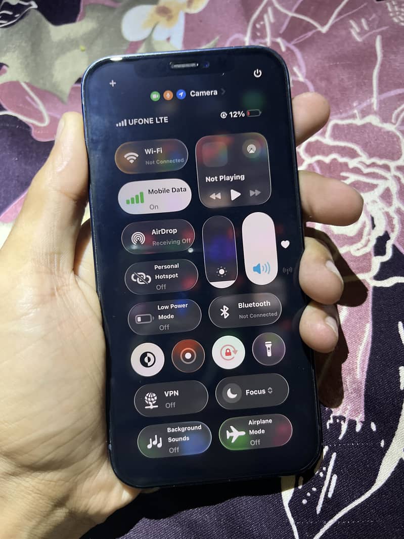 Apple iPhone 12 1