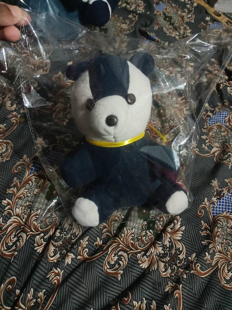 Colour full teddys 0