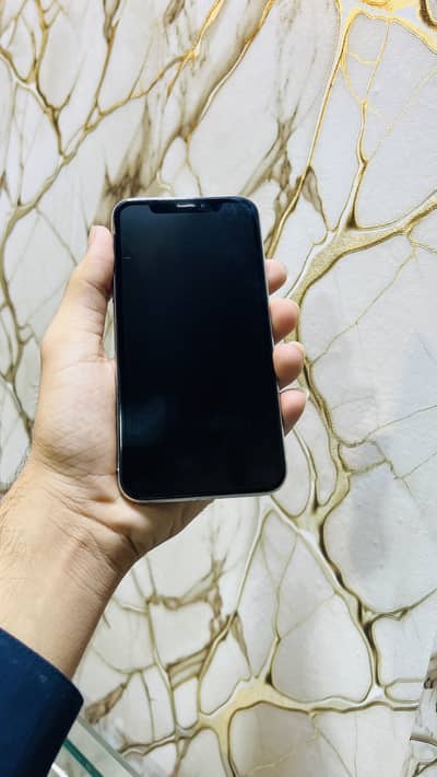 Apple iPhone X