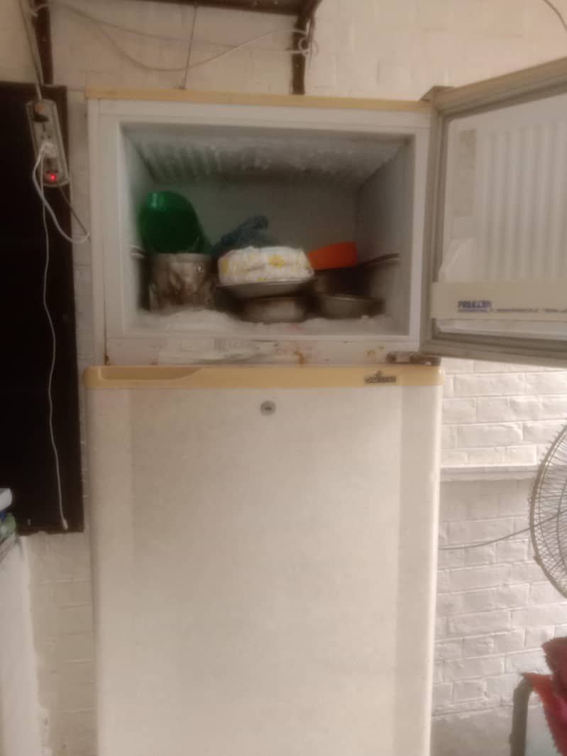 bilkul ok 2