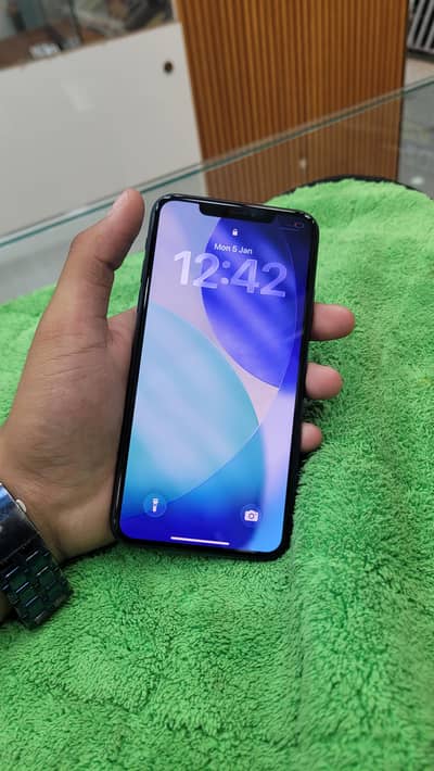 iPhone 11 Pro Max waterpack
