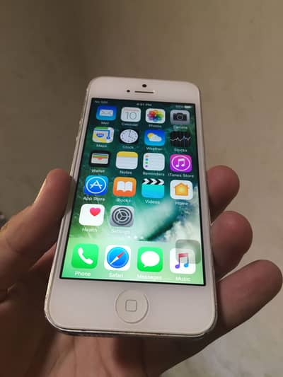 Apple iPhone 5