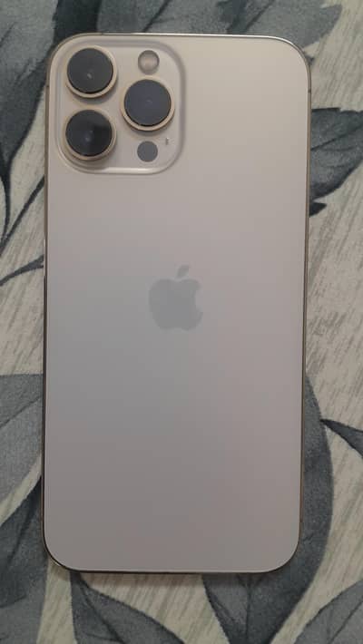 Apple iPhone 13 Pro Max