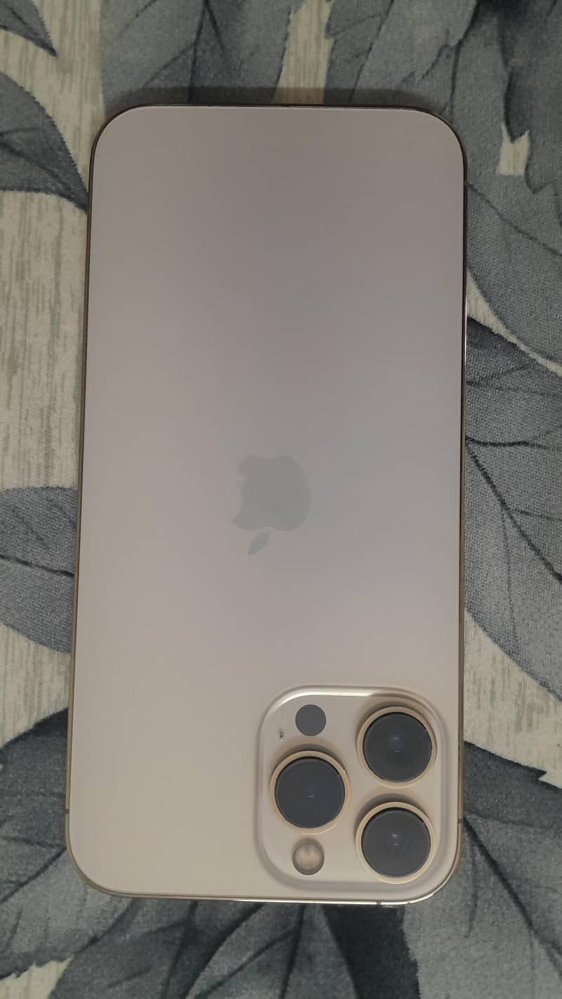 Apple iPhone 13 Pro Max 1