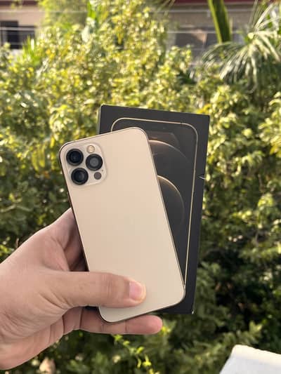 Apple iPhone 12 Pro