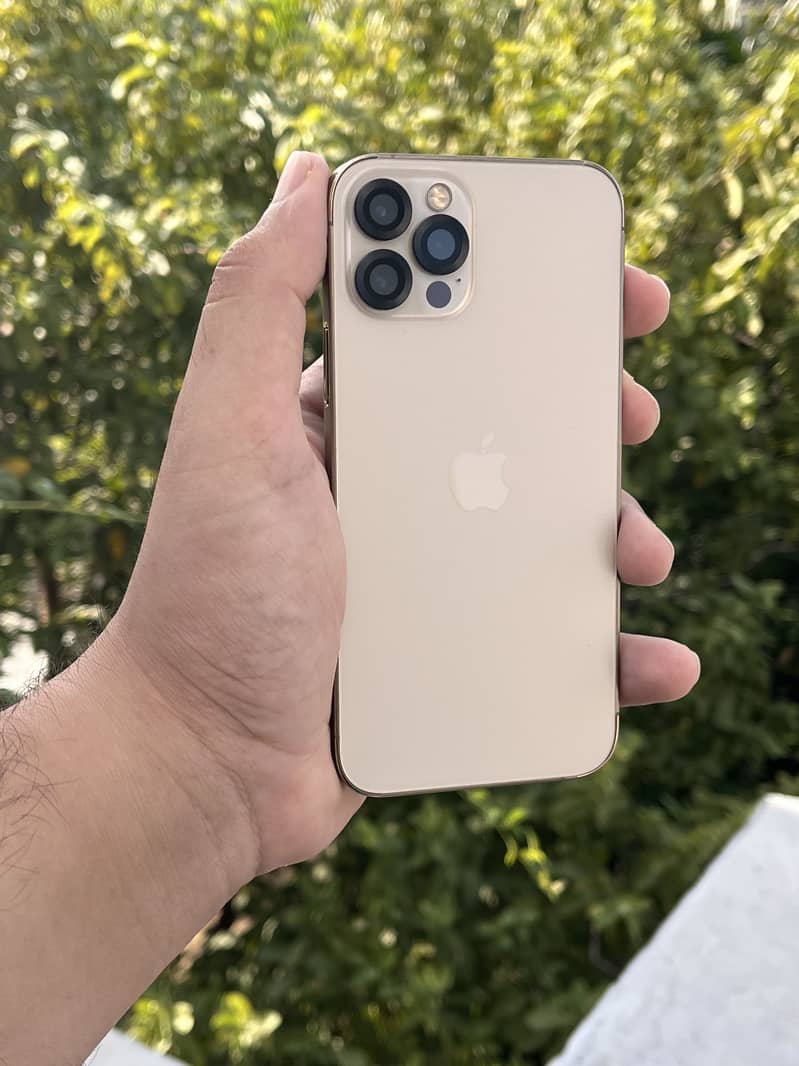 Apple iPhone 12 Pro 1